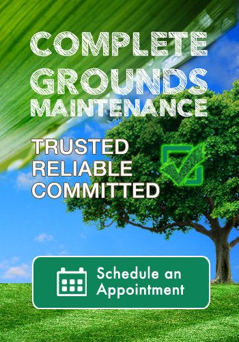 schedule your lawn and landscape contractor
