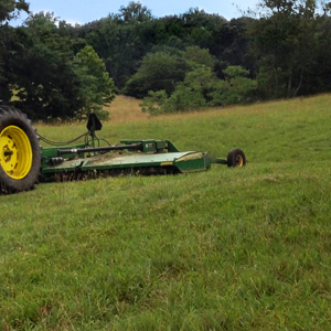 tractor work field and brush cutting