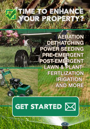 lawn aerate and power seed in Louisville KY