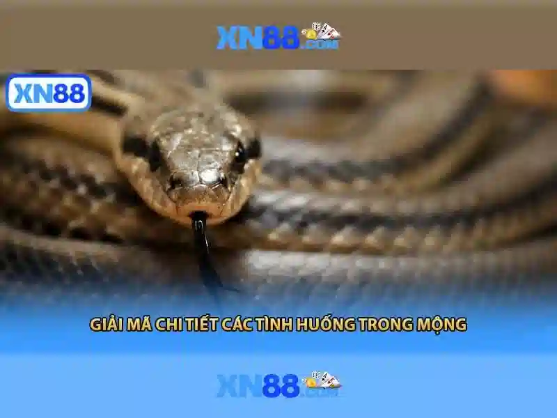 An ninh và bảo mật\n\n