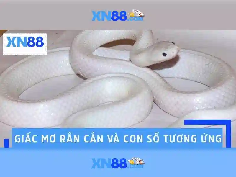 XN88: Tổng quan và hướng dẫn cho người Việt