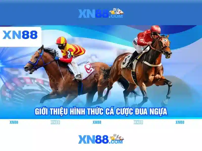 Hướng dẫn tham gia