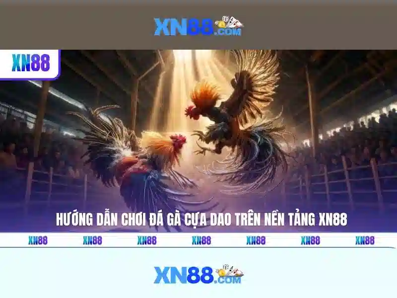 xn88: Tổng quan và Hướng dẫn an toàn
