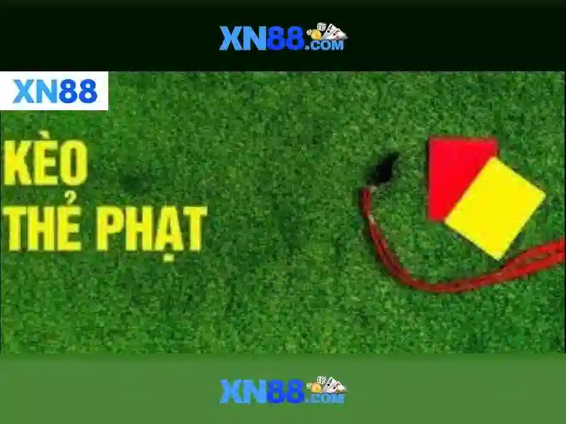 xn88: Đánh giá và hướng dẫn sử dụng