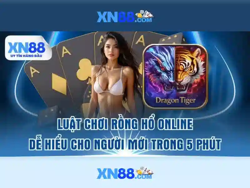 Lý do chọn xn88 cho người chơi