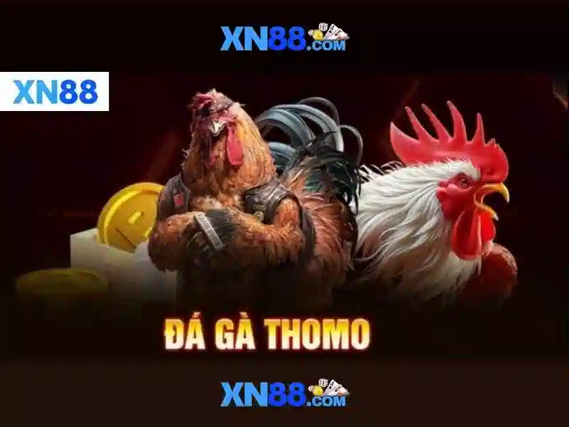 XN88: Nen tang tro choi truc tuyen dang tin cay