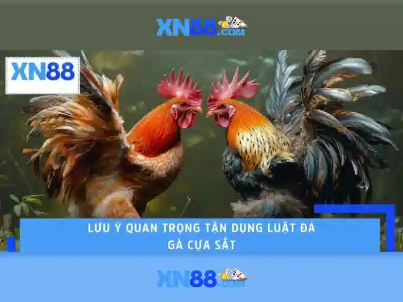 Giới thiệu xn88: Nền tảng game online và giải trí
