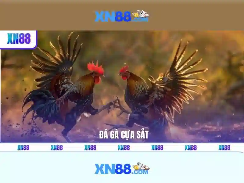 Giới thiệu về xn88 và các dịch vụ nổi bật
