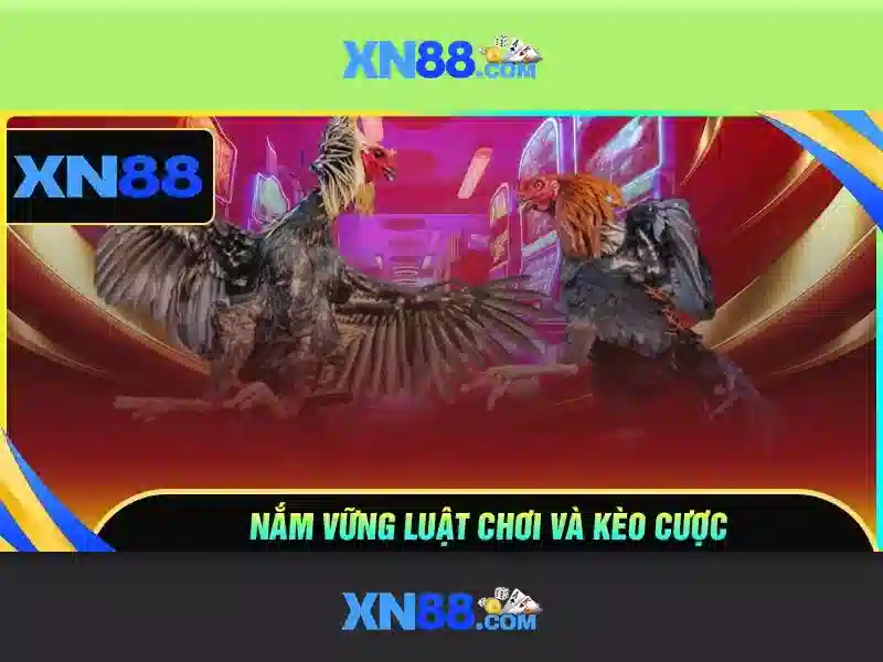 Lich su va nguon goc cua xn88\n\n