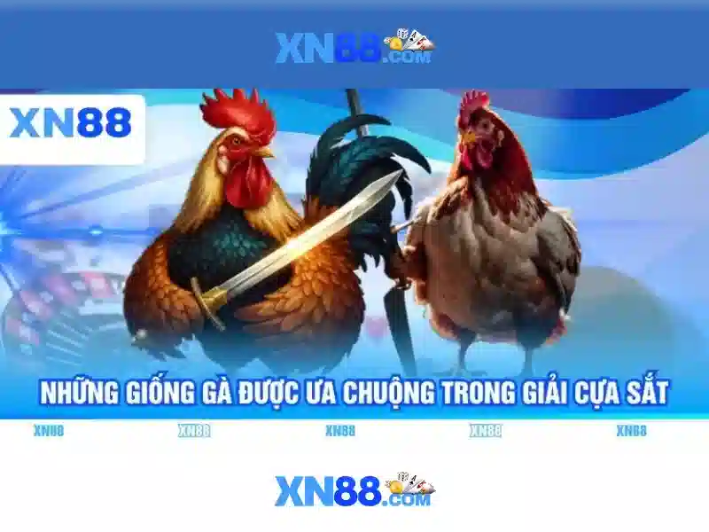 Giới thiệu về xn88
