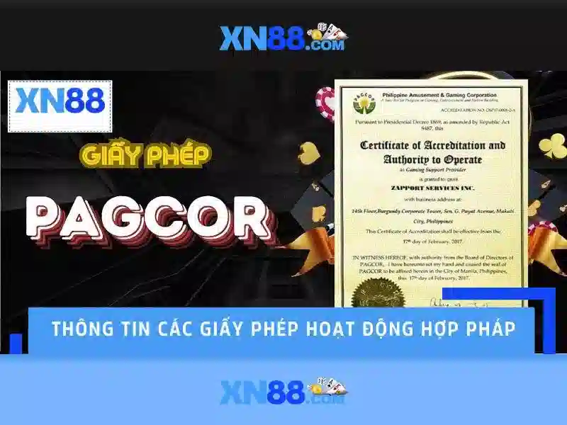 Giới thiệu về xn88\n