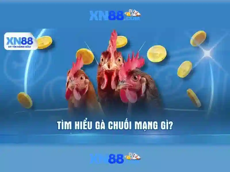 XN88: Đánh giá nền tảng trò chơi và trải nghiệm người dùng