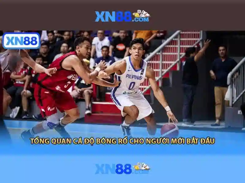 Đảm bảo an toàn và tuân thủ pháp lý