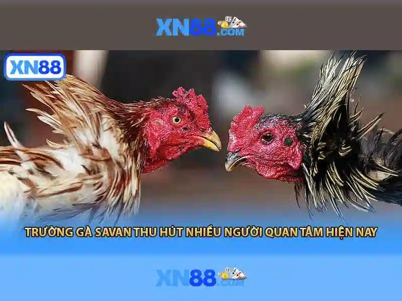 đăng nhập xn88: an toàn, tải xn88 và link vào xn88