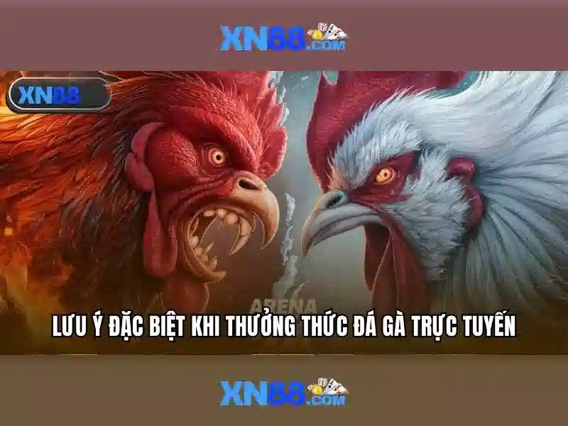 xn88 c: Hành trình thương hiệu, giá trị cốt lõi và đột phá