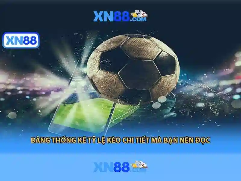 Kết luận và lời khuyên cho người dùng