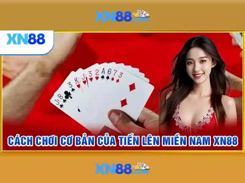 Cộng đồng và sự kiện xn88