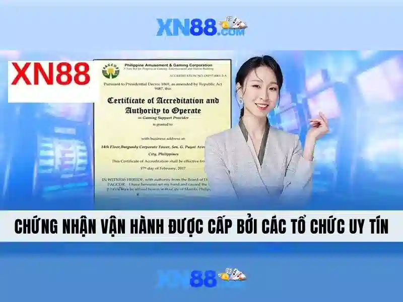 Trải nghiệm người dùng và giao diện