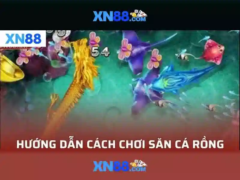 xn88 official – Tổng quan thương hiệu và trải nghiệm
