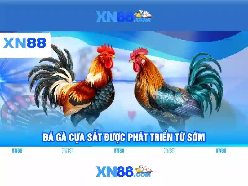 Ưu điểm và tính năng nổi bật