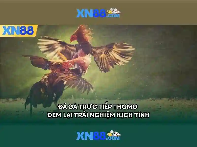 xn88: Nền tảng giải trí trực tuyến và trò chơi trực tuyến