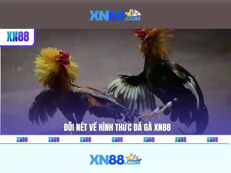 cách chơi xn88 an toàn với app xn88 và nhà cái xn88