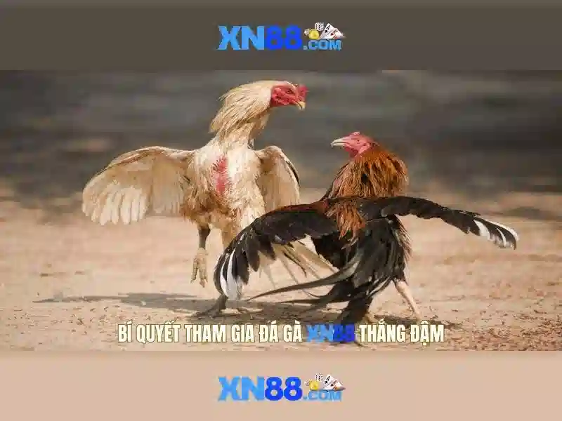 Làm thế nào để bắt đầu với xn88