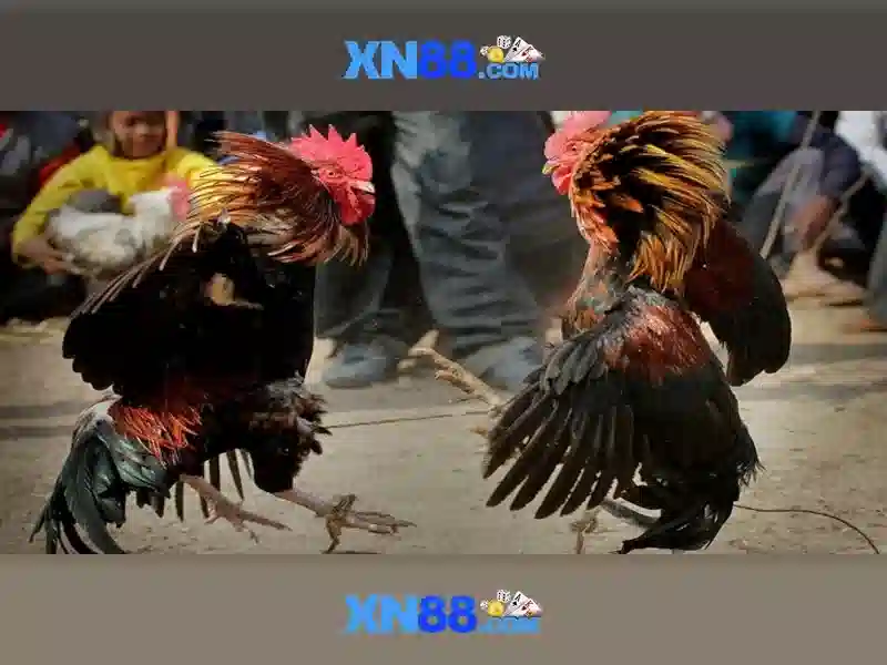 xn88: Nền tảng giải trí và công nghệ đằng sau nó