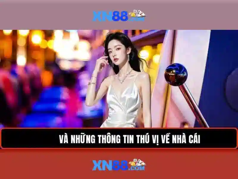 Nền tảng và trải nghiệm người dùng