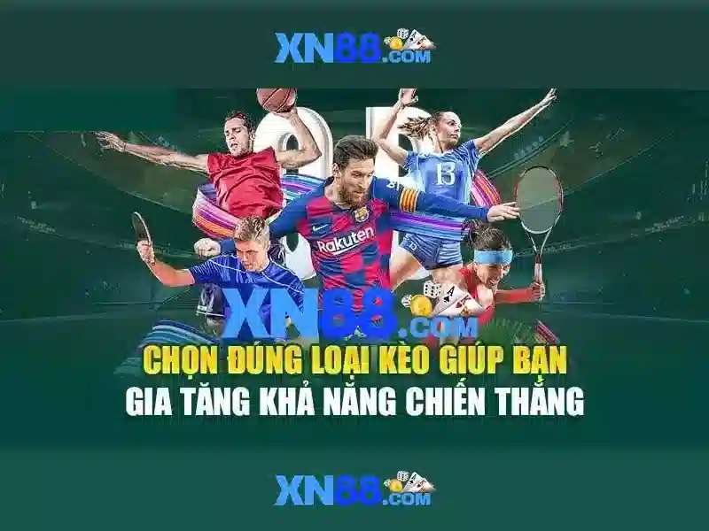Một cái nhìn tổng quan về xn88