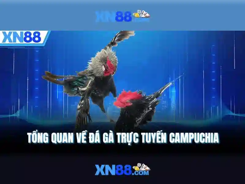 Đặc điểm nổi bật của xn88\n