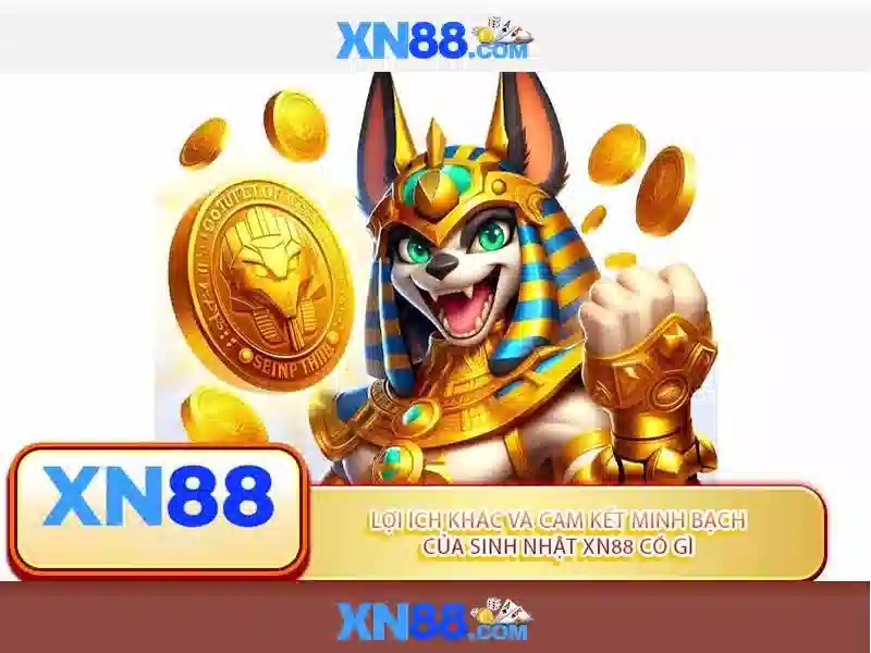 Xn88: Nền tảng trực tuyến cho trò chơi và giải trí