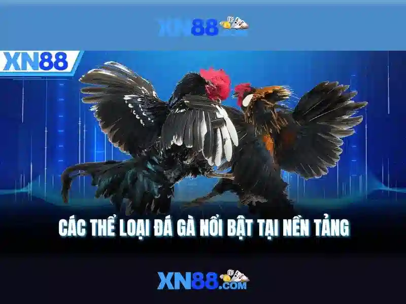 Tổng quan chủ đề và giá trị cốt lõi