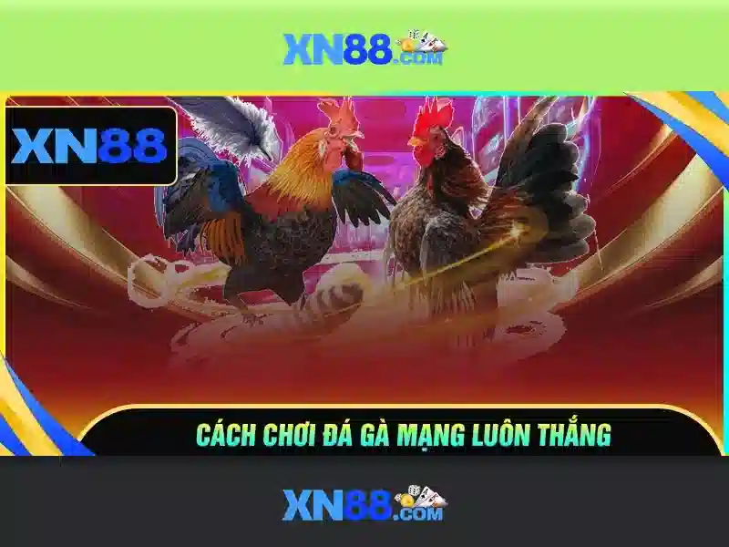 xn88: Nền tảng giải trí và cược trực tuyến