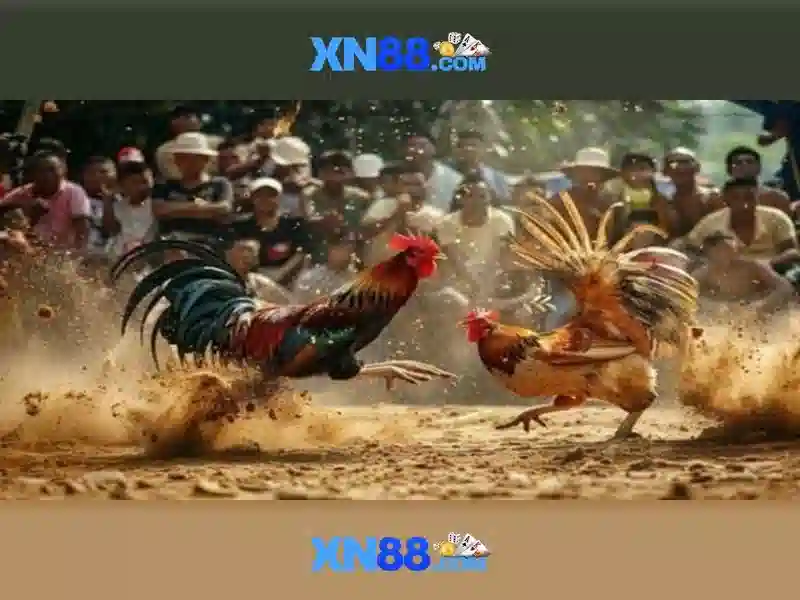 Giới thiệu về xn88