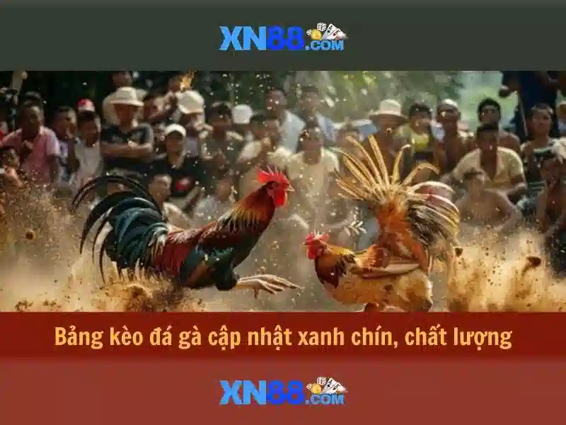 Định hướng phát triển tương lai