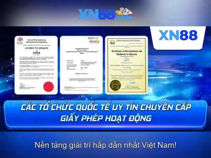 xn88: một cái nhìn tổng quan về nền tảng cá cược trực tuyến
