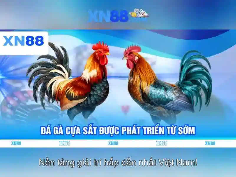 xn88 in.net – Trải nghiệm, đánh giá và giá trị cốt lõi