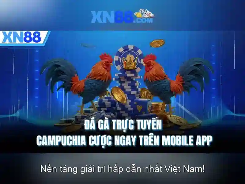 Giới thiệu về xn88