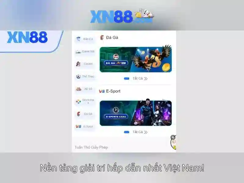 Xn88: Tổng quan và ứng dụng