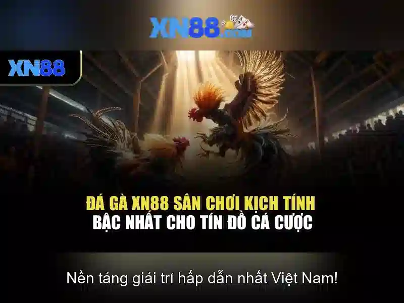 xn88: Tổng quan và hướng dẫn ngắn