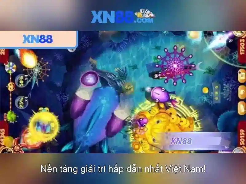 Kết luận về xn88