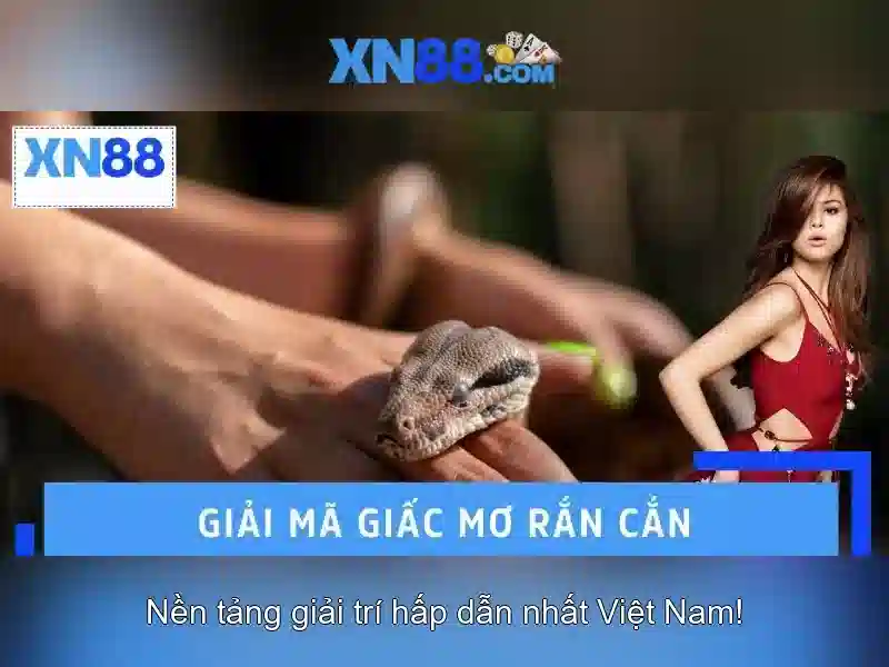 Giới thiệu về xn88\n
