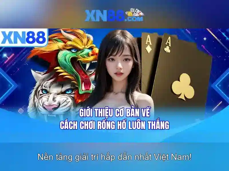 Các chức năng chính