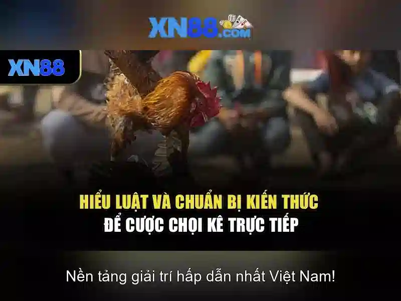 xn88: Nền tảng trò chơi online và những điều cần biết