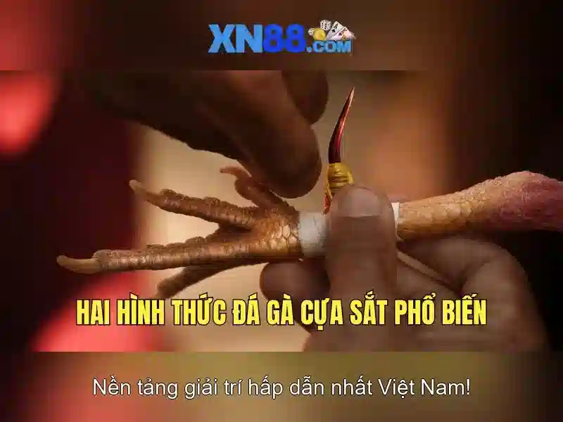 An toàn và yếu tố pháp lý