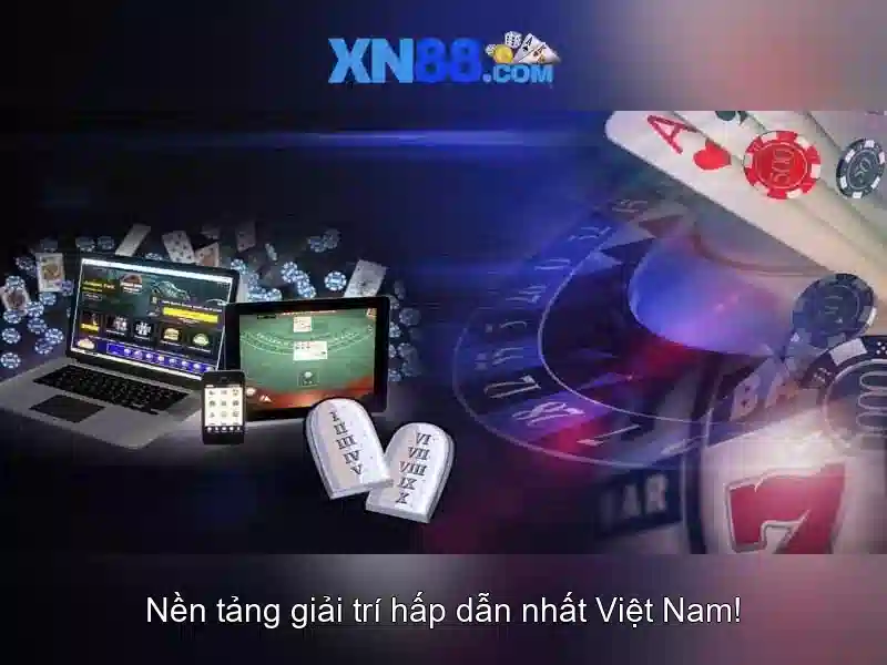 Nền tảng và trải nghiệm người dùng\n\n
