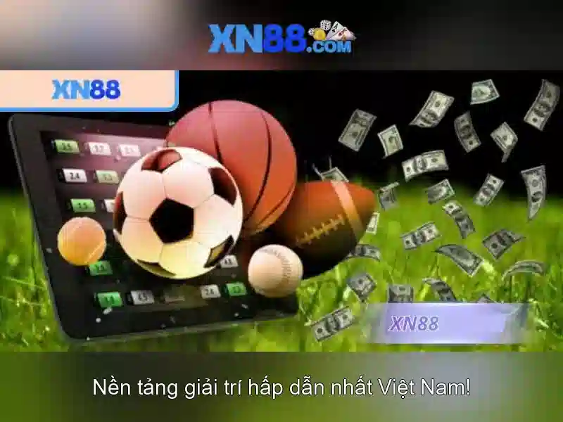 Lịch sử và sự phát triển\n