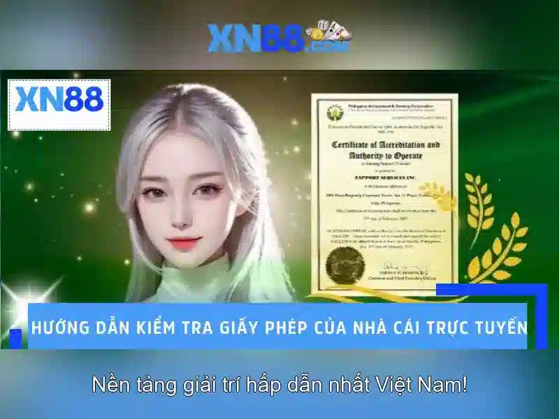 Giới thiệu về xn88