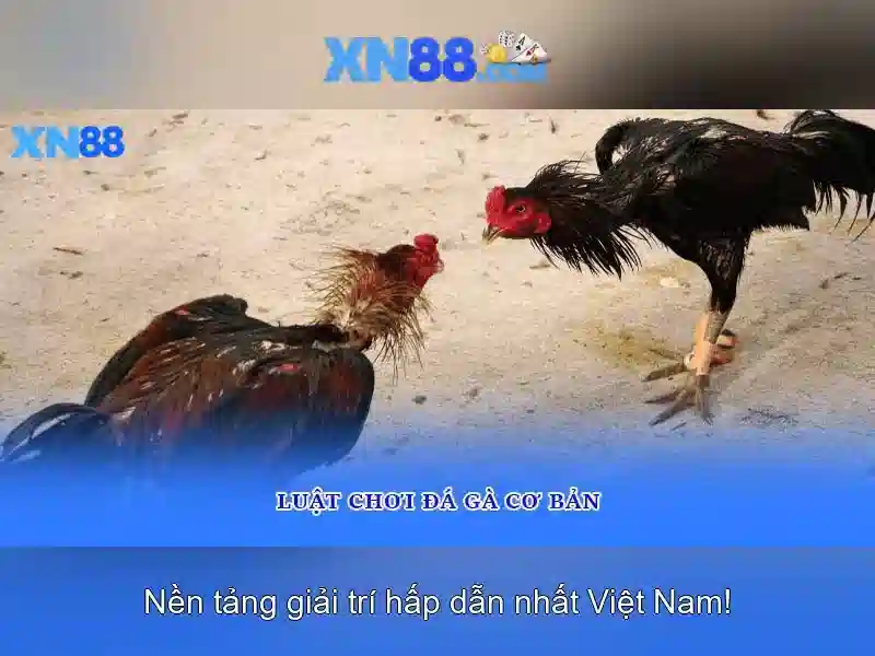 Các sản phẩm và trò chơi tại xn88